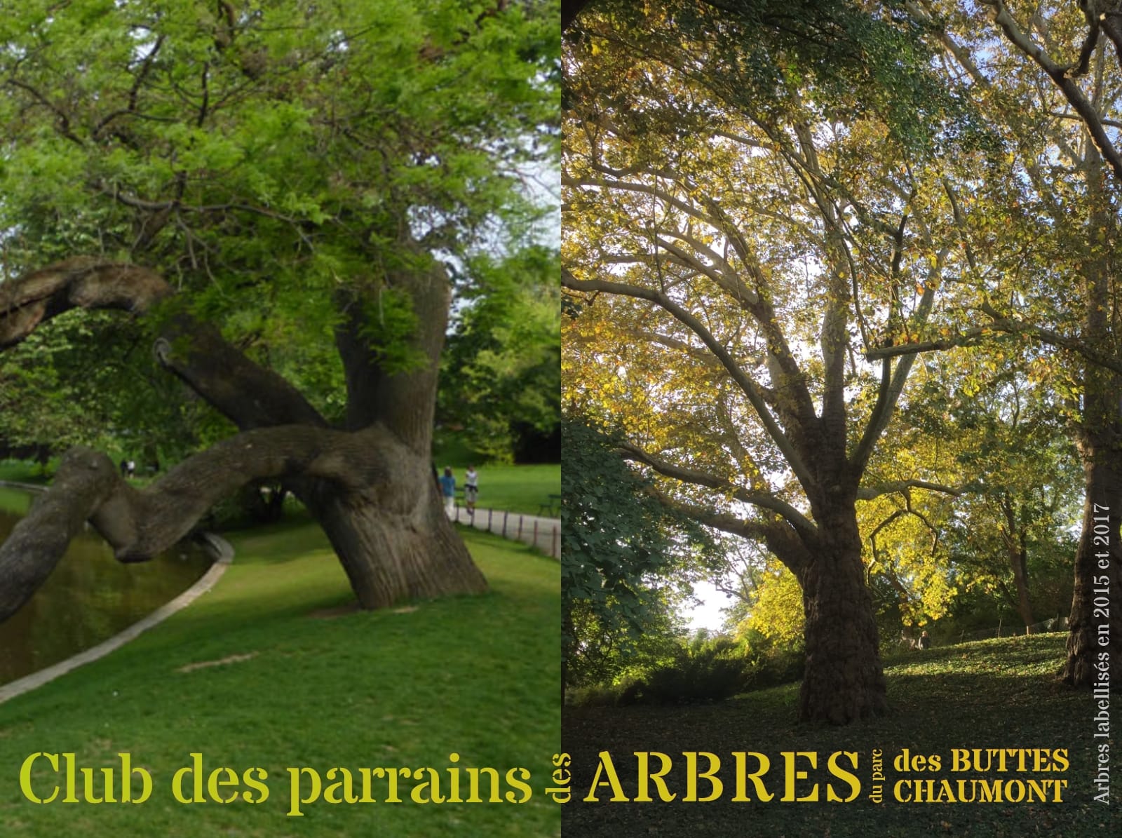 Logo Club des parrains