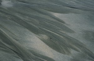 Au delà de l'eau : Exposition 8