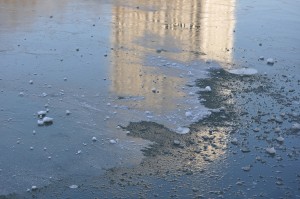 Au delà de l'eau : Exposition 18