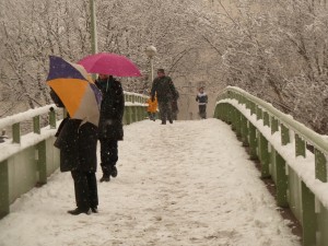 Bassin de la Villette et canal de l'Ourcq 30