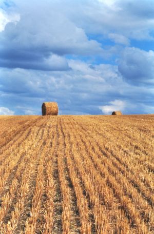 Limagne d'Auvergne 3