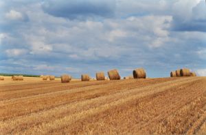 Limagne d'Auvergne 4