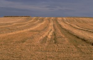 Limagne d'Auvergne 22
