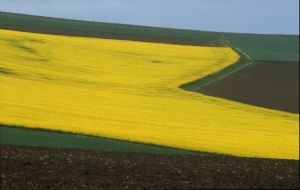 Limagne d'Auvergne 7