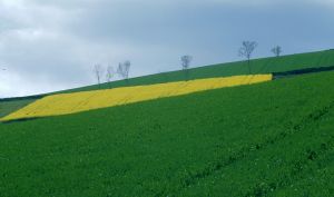 Limagne d'Auvergne 15