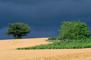 Limagne d'Auvergne 21