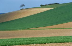 Limagne d'Auvergne 17