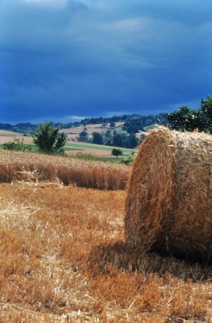 Limagne d'Auvergne 2