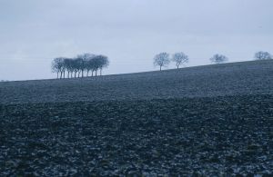 Limagne d'Auvergne 18