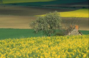 Limagne d'Auvergne 14