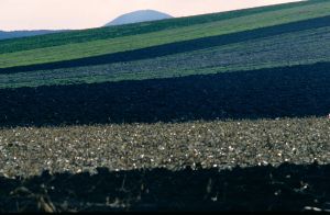 Limagne d'Auvergne 20