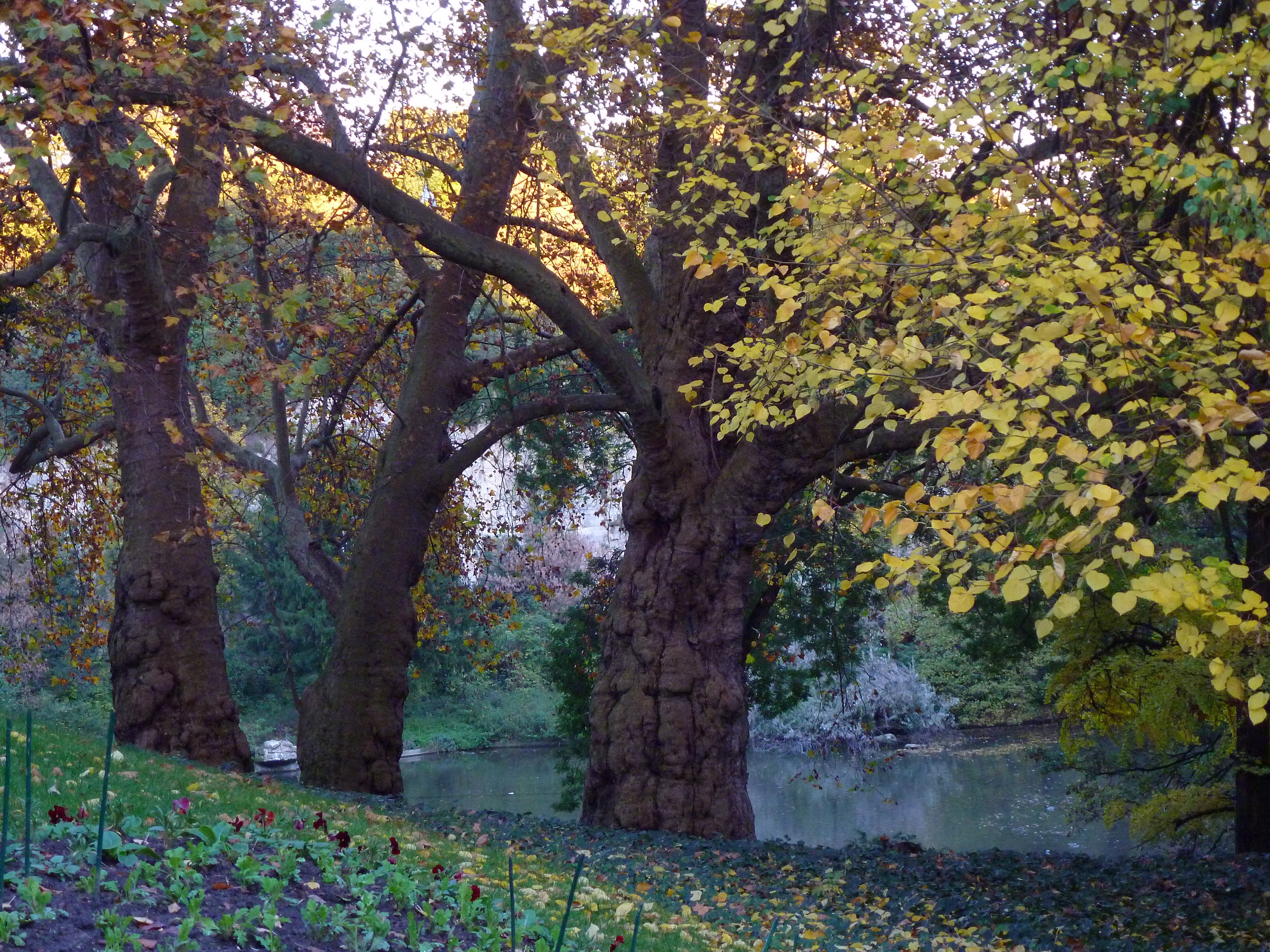 Parc des Buttes Chaumont 103