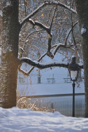 Parc des Buttes Chaumont 79