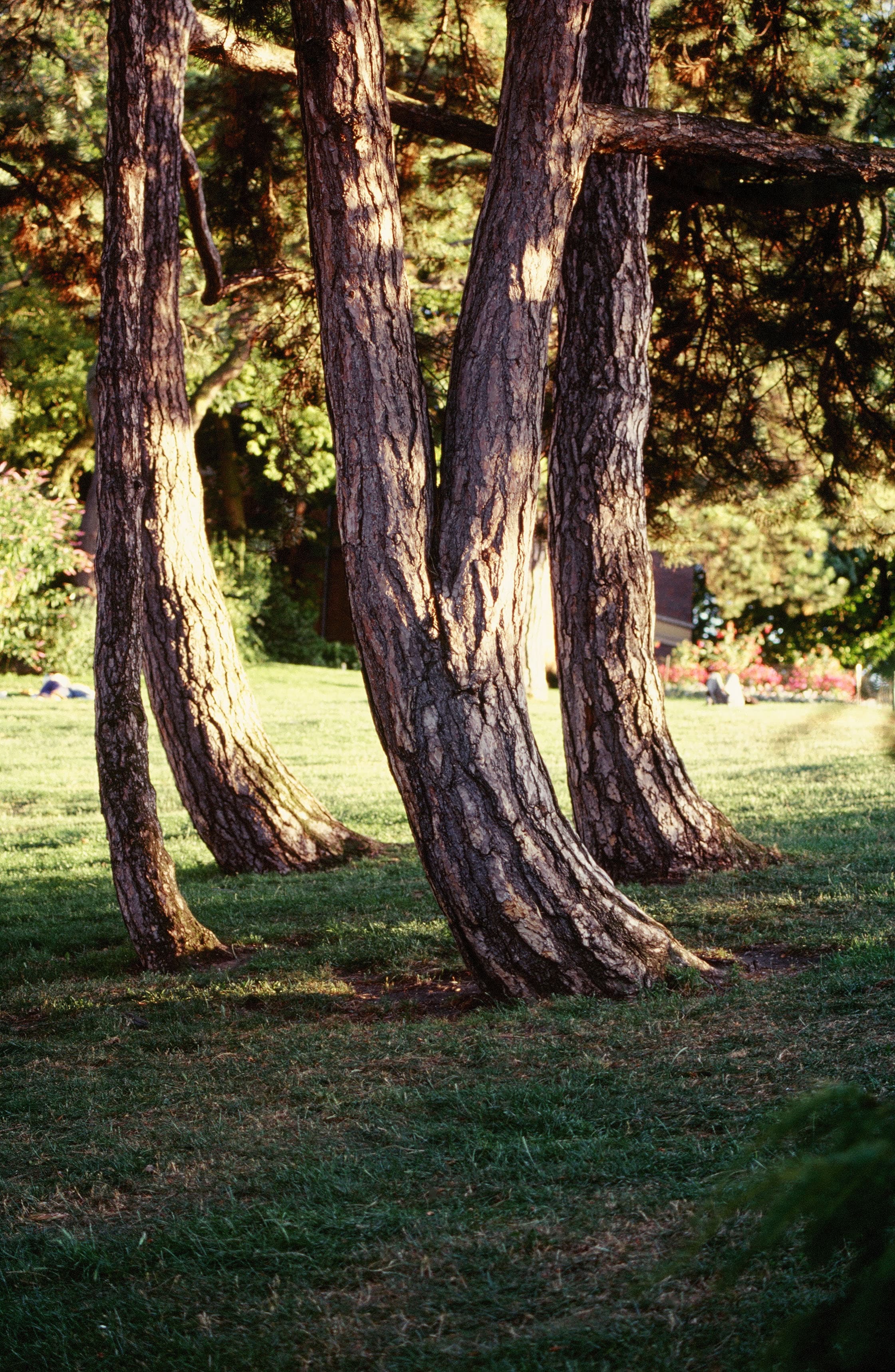 Parc des Buttes Chaumont 8