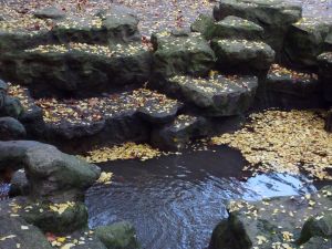 Parc des Buttes Chaumont 118