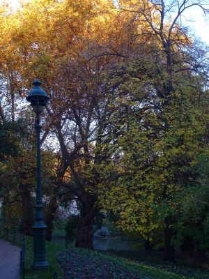 Parc des Buttes Chaumont 104