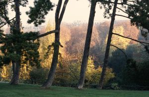 Parc des Buttes Chaumont 26