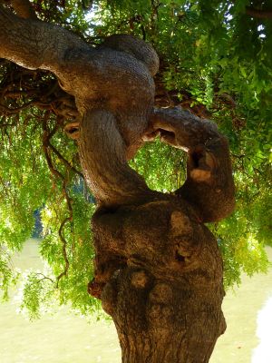 Parc des Buttes Chaumont 93