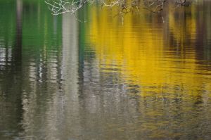 Parc des Buttes Chaumont 54