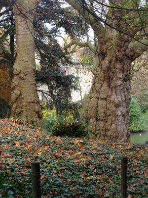 Parc des Buttes Chaumont 135