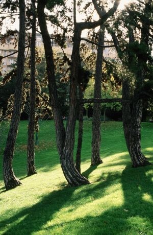 Parc des Buttes Chaumont 28