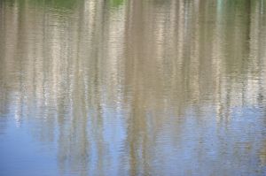 Parc des Buttes Chaumont 55