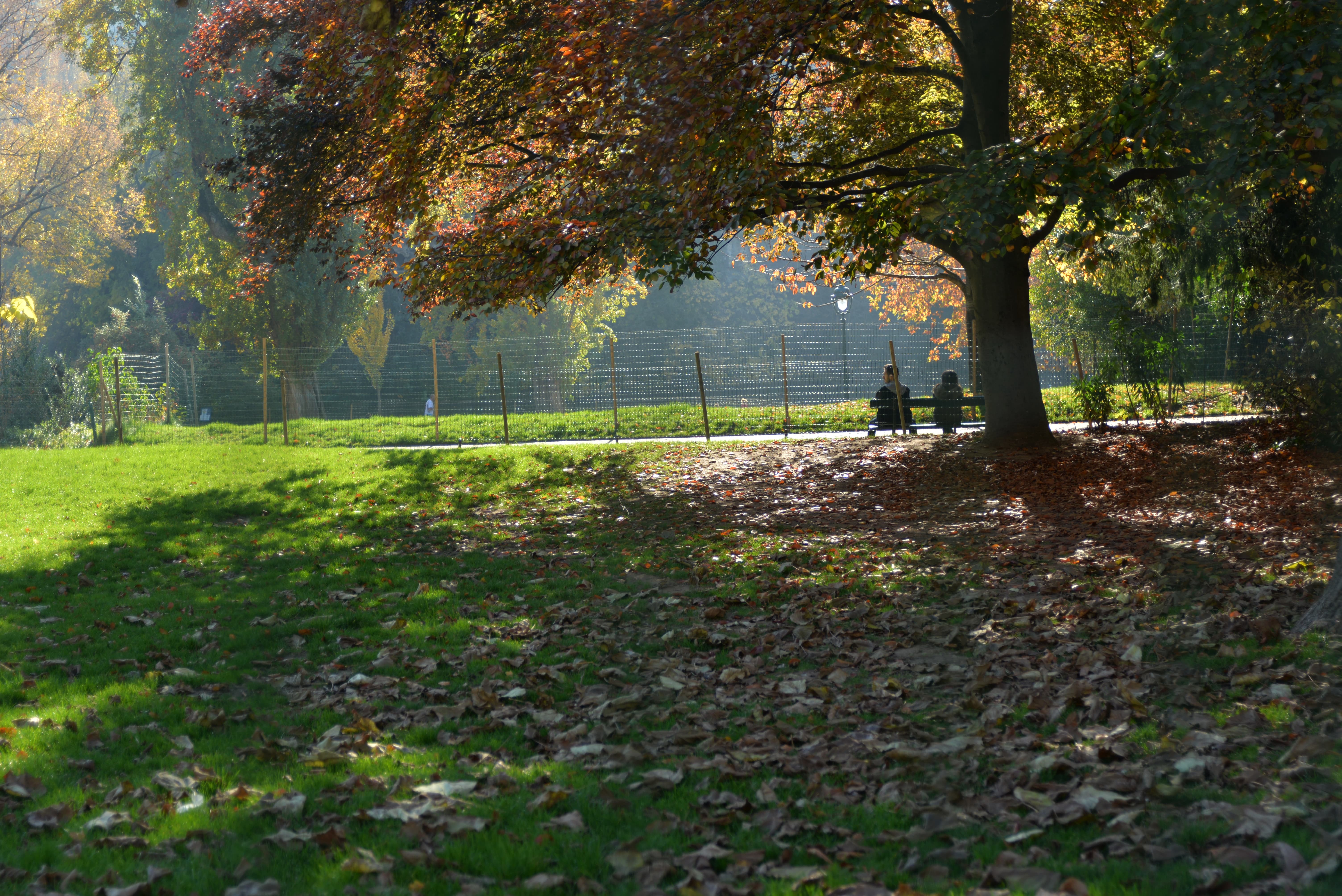 Parc des Buttes Chaumont 43