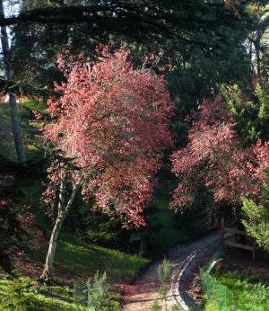 Parc des Buttes Chaumont 42