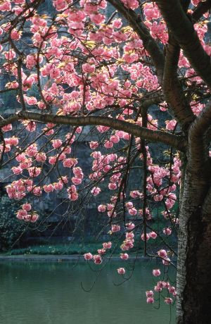 Parc des Buttes Chaumont 4