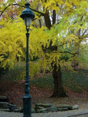 Parc des Buttes Chaumont 117