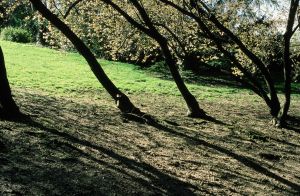 Parc des Buttes Chaumont 22