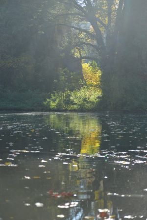 Parc des Buttes Chaumont 62