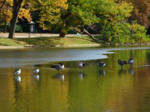 Parc des Buttes Chaumont 108