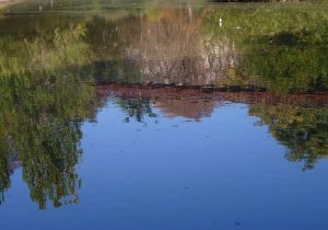 Parc des Buttes Chaumont 85