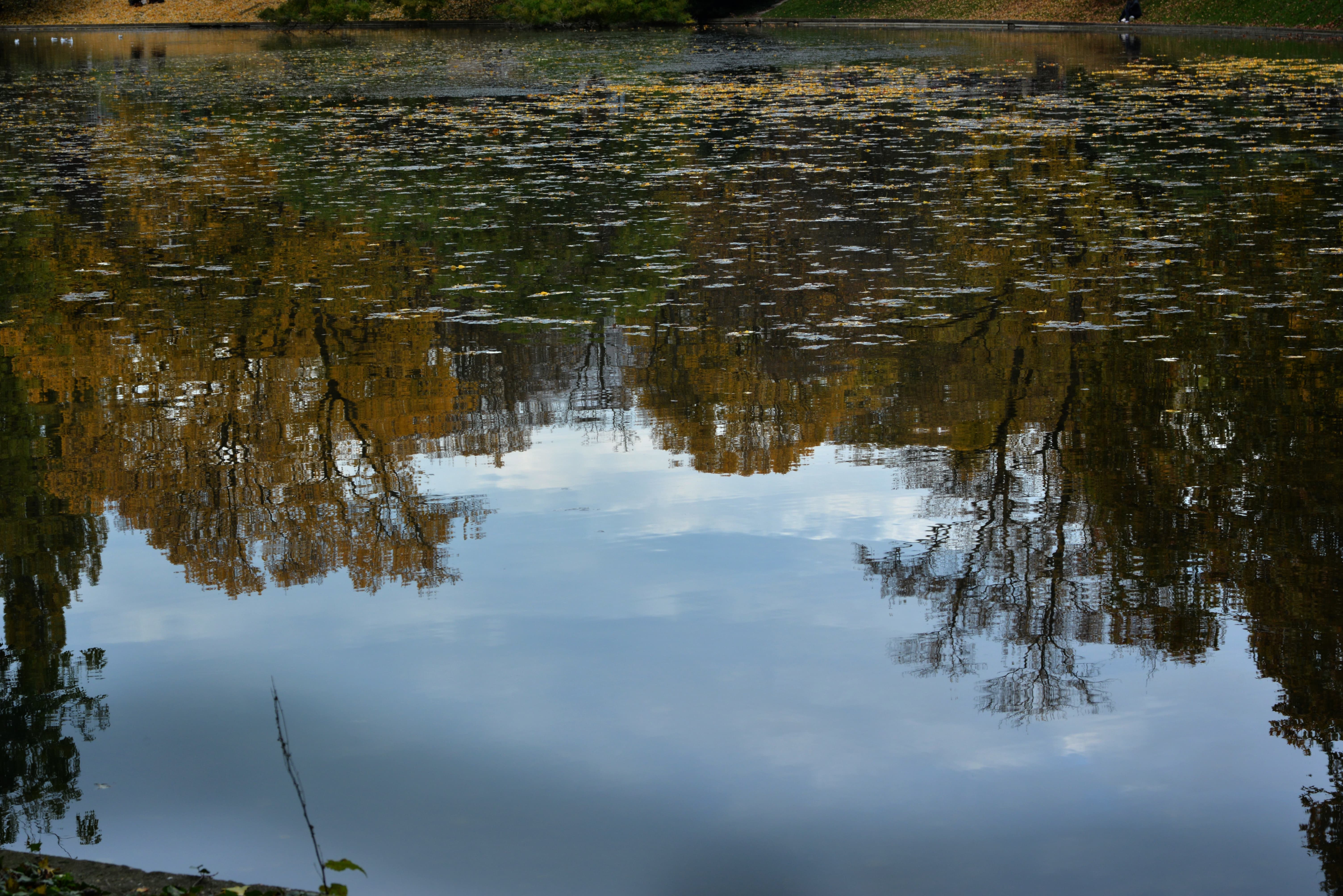 Reflets 2